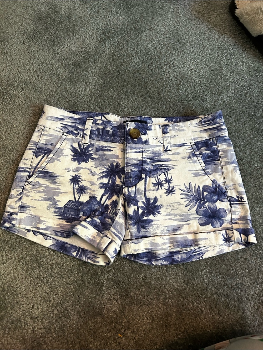 American Eagle Women's Purple Floral Print Shorts
